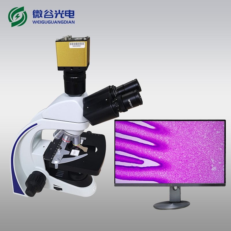 生物光學(xué)顯微鏡的使用及維護